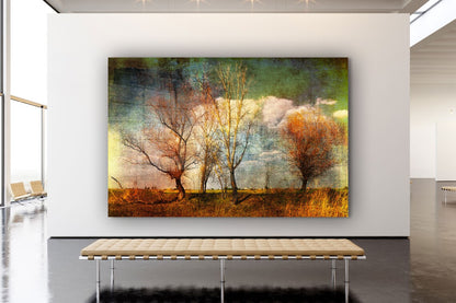 Leafless Trees Field UV Direct Aluminum Print Australian Made Quality