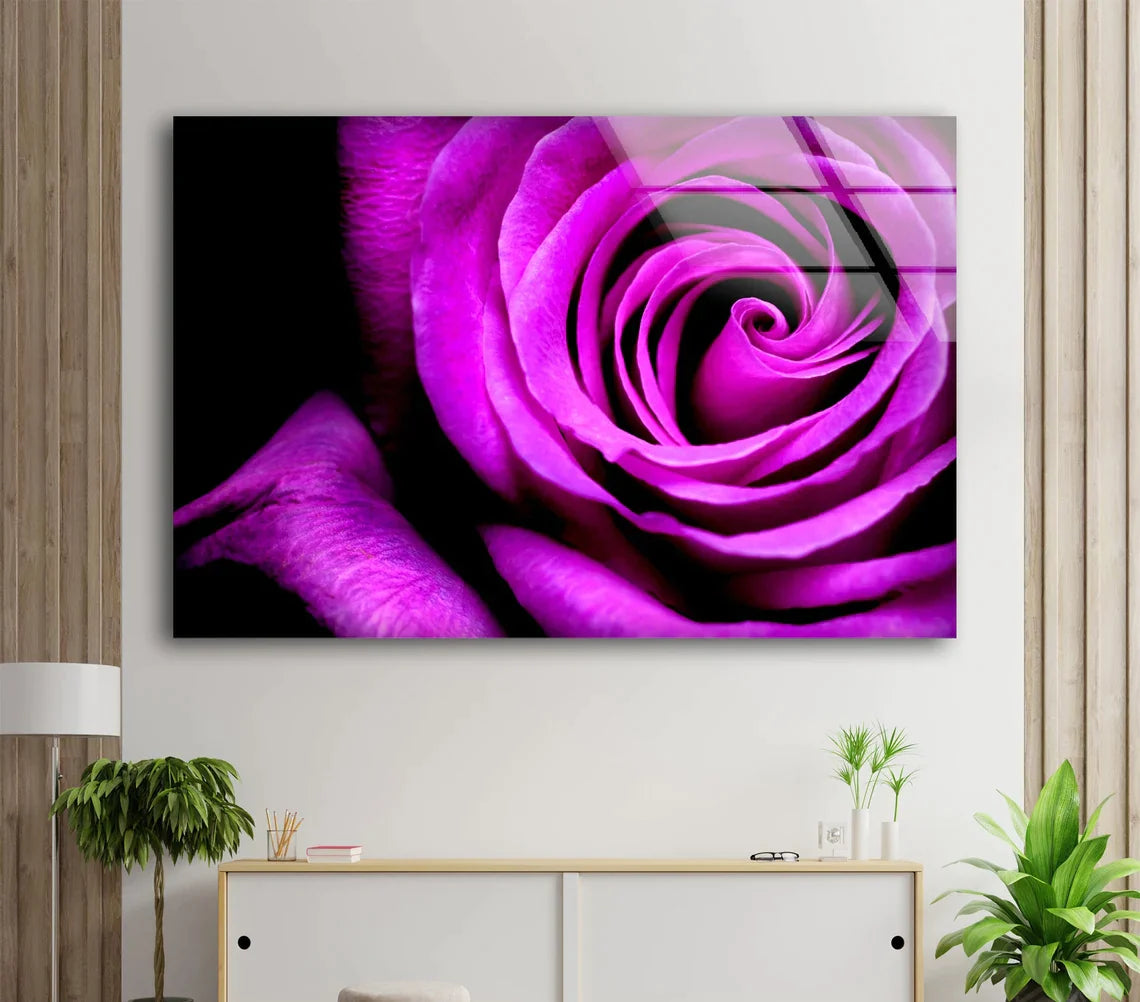 Pink Rose Flower Petals UV Direct Aluminum Print Australian Made Quality