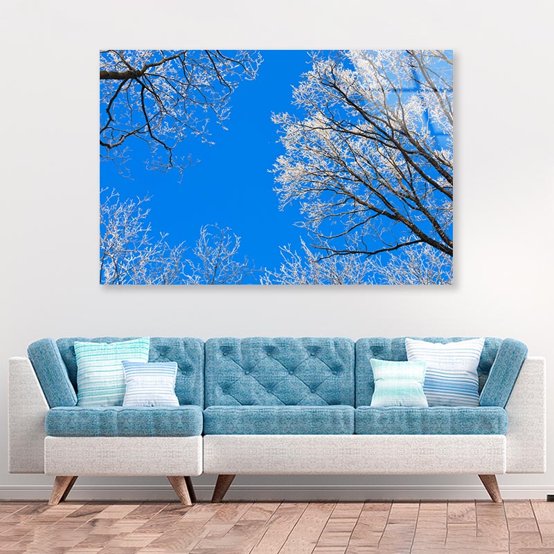Frost on Tree Branches Acrylic Glass Print Tempered Glass Wall Art 100% Made in Australia Ready to Hang