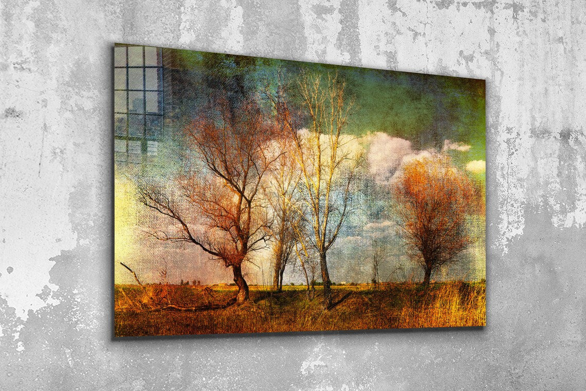 Leafless Trees Field UV Direct Aluminum Print Australian Made Quality