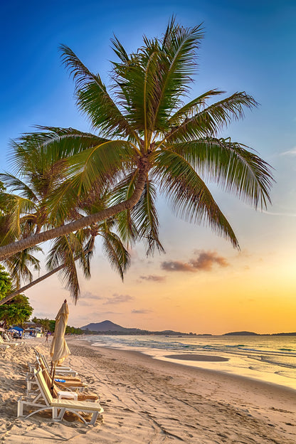 Palm Tropical Beach at Sunset Sky Photograph Glass Framed Wall Art, Ready to Hang Quality Print