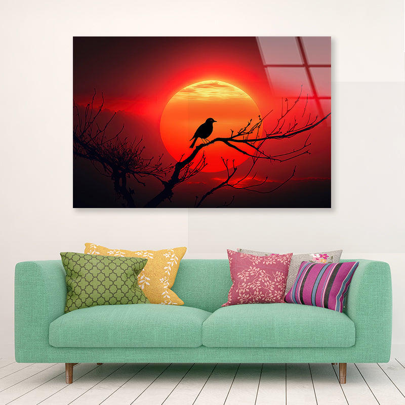 Bird, Sun & Sunset Acrylic Glass Print Tempered Glass Wall Art 100% Made in Australia Ready to Hang