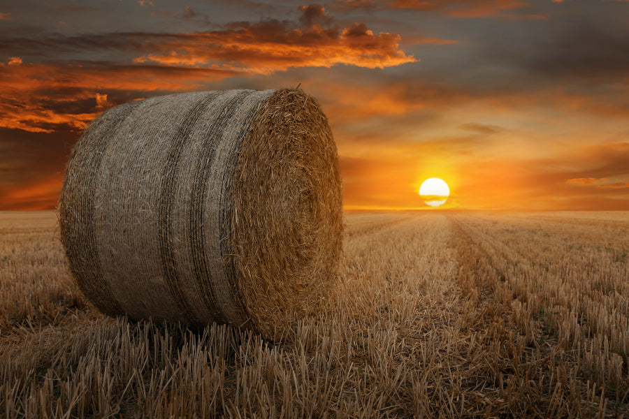 Straw Bales in A Field at Sunset Acrylic Glass Print Tempered Glass Wall Art 100% Made in Australia Ready to Hang