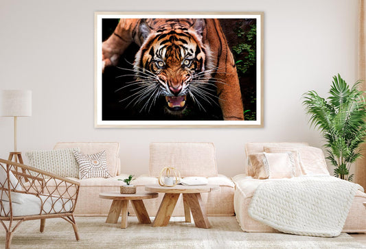 Wild Tiger Face Closeup Home Decor Premium Quality Poster Print Choose Your Sizes