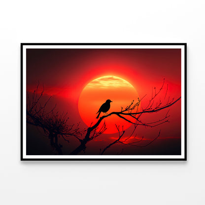 Bird, Sun & Sunset Home Decor Premium Quality Poster Print Choose Your Sizes