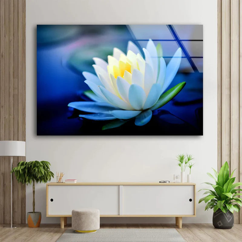 White Flower Closeup UV Direct Aluminum Print Australian Made Quality