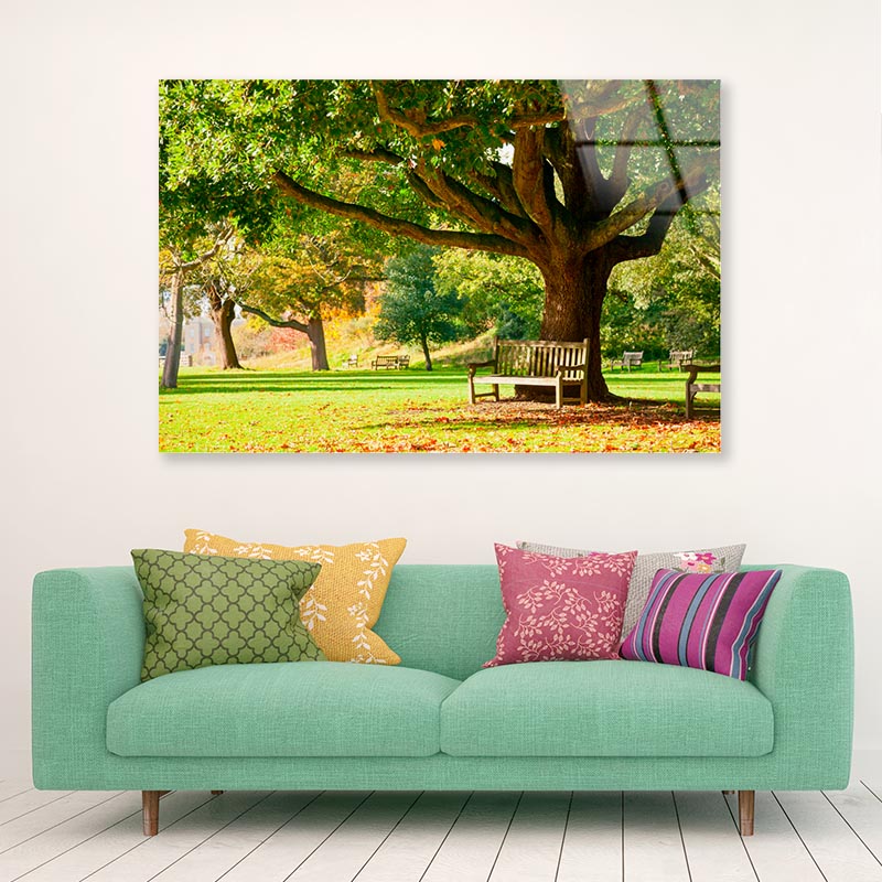 Kew Gardens Park Acrylic Glass Print Tempered Glass Wall Art 100% Made in Australia Ready to Hang