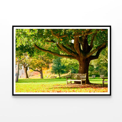 Kew Gardens Park Home Decor Premium Quality Poster Print Choose Your Sizes