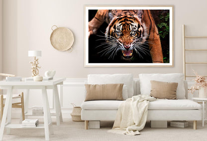 Wild Tiger Face Closeup Home Decor Premium Quality Poster Print Choose Your Sizes