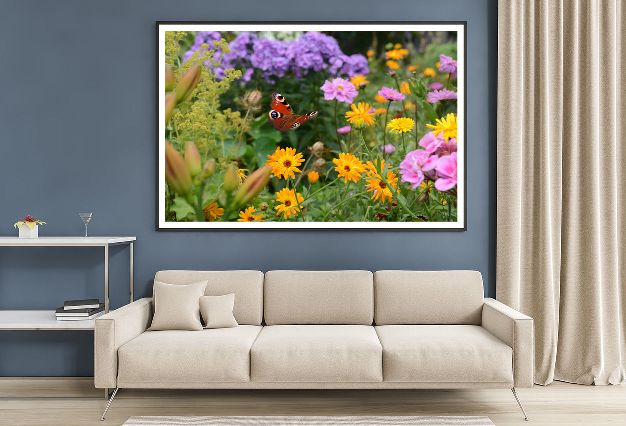 View of a Butterfly Perched On a Flower Home Decor Premium Quality Poster Print Choose Your Sizes