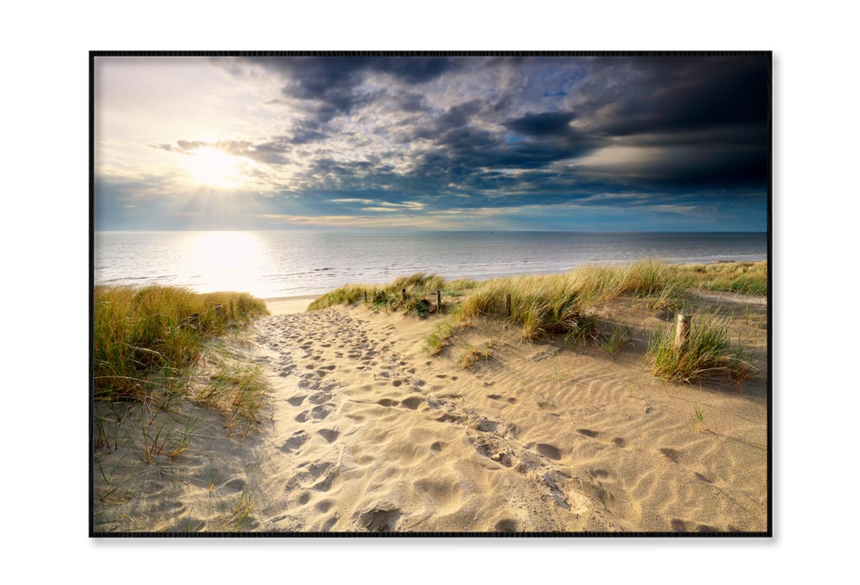 Sand Path to North Sea Beach in Sunshine, Holland Home Decor Premium Quality Poster Print Choose Your Sizes