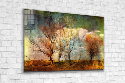 Leafless Trees Field UV Direct Aluminum Print Australian Made Quality