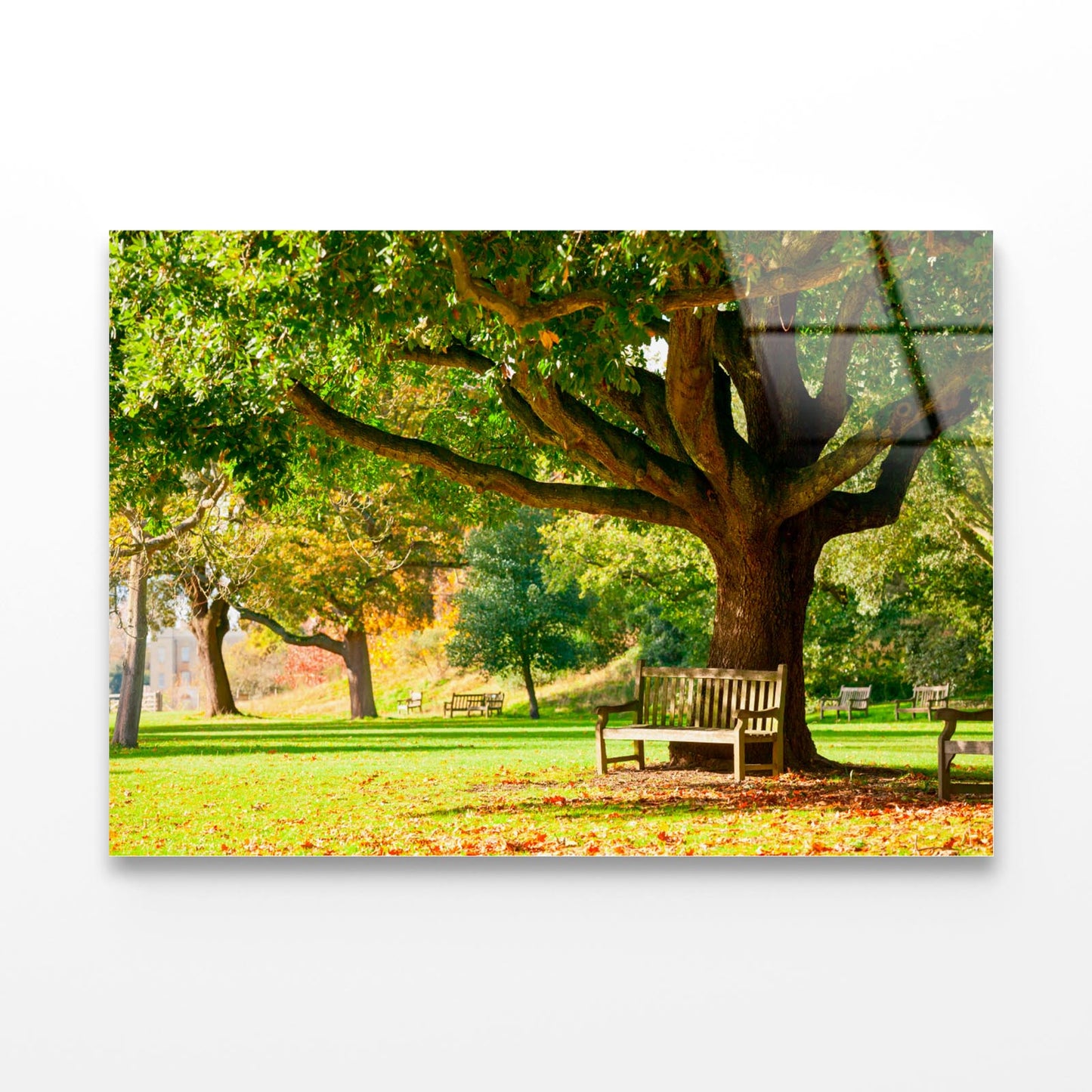 Kew Gardens Park Acrylic Glass Print Tempered Glass Wall Art 100% Made in Australia Ready to Hang