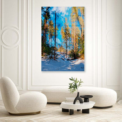 A Sunny Winter Forest Acrylic Glass Print Tempered Glass Wall Art 100% Made in Australia Ready to Hang