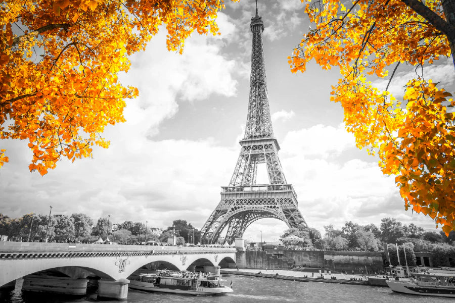 B&W Bridge near Eiffel Tower with Autumn Tree Photograph 90x60cm Print 100% Australian Made