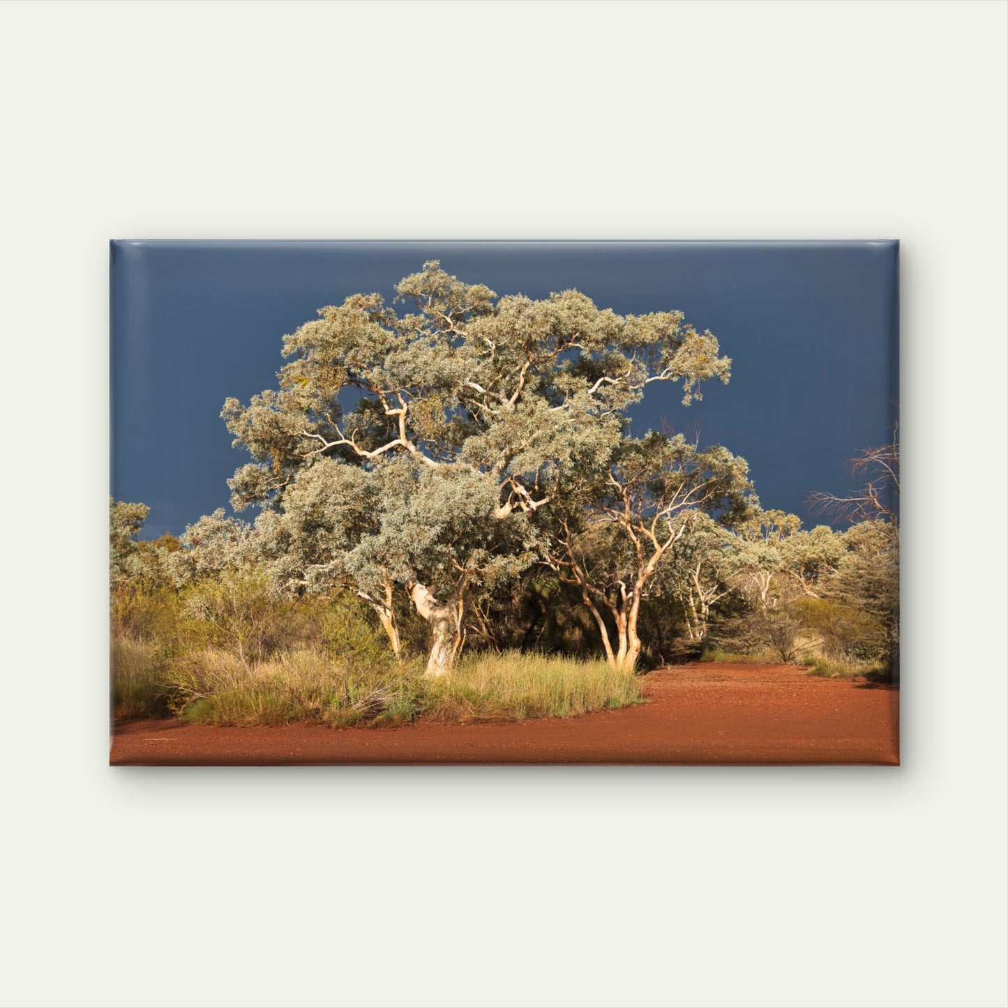 Ghost Gum Trees Karijini National Park Wall Art Decor 100% Australian Made