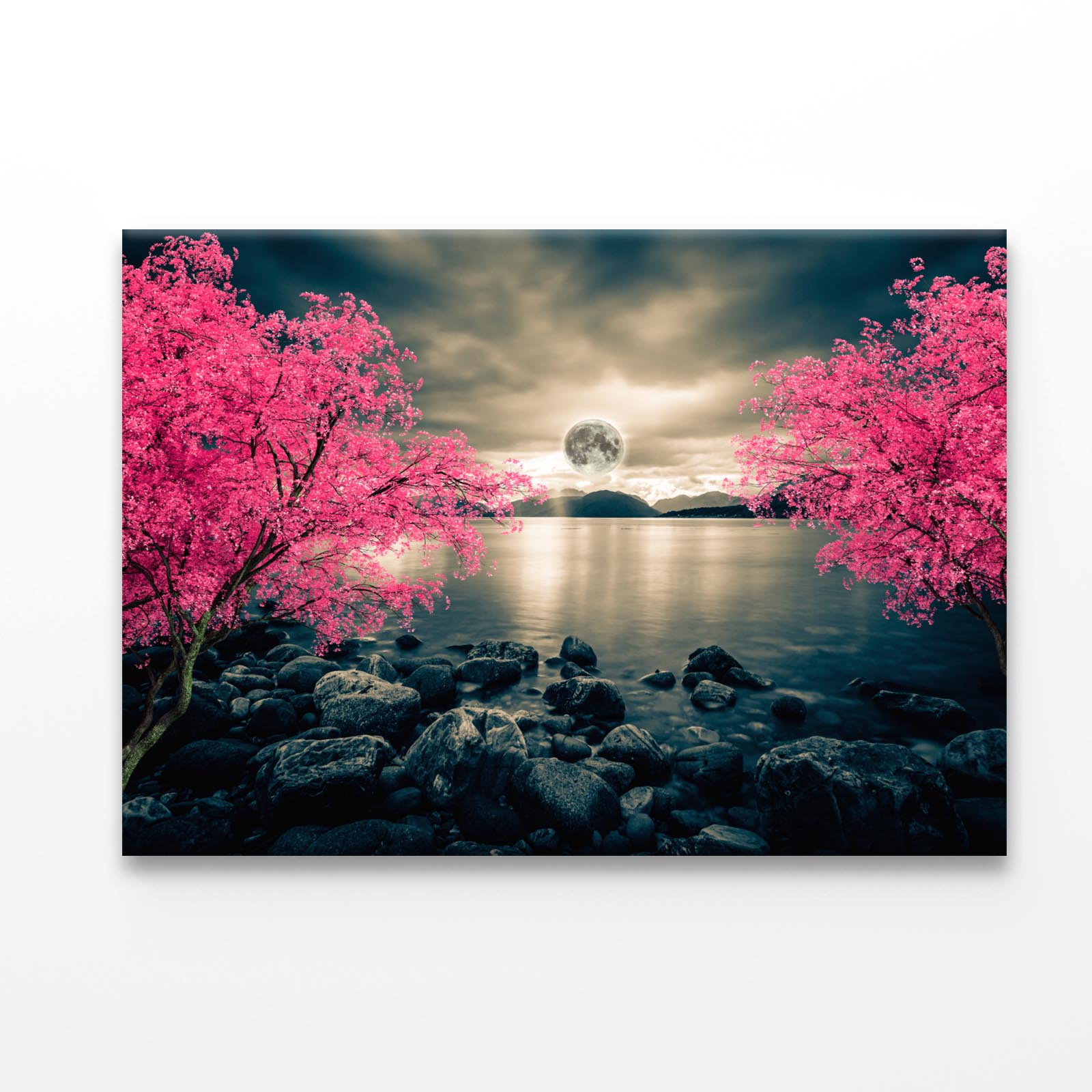 Moon With Red Tree Acrylic Glass Print Tempered Glass Wall Art 100% Made in Australia Ready to Hang