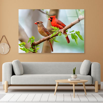 Northern Cardinal Pair in Spring  Acrylic Glass Print Tempered Glass Wall Art 100% Made in Australia Ready to Hang