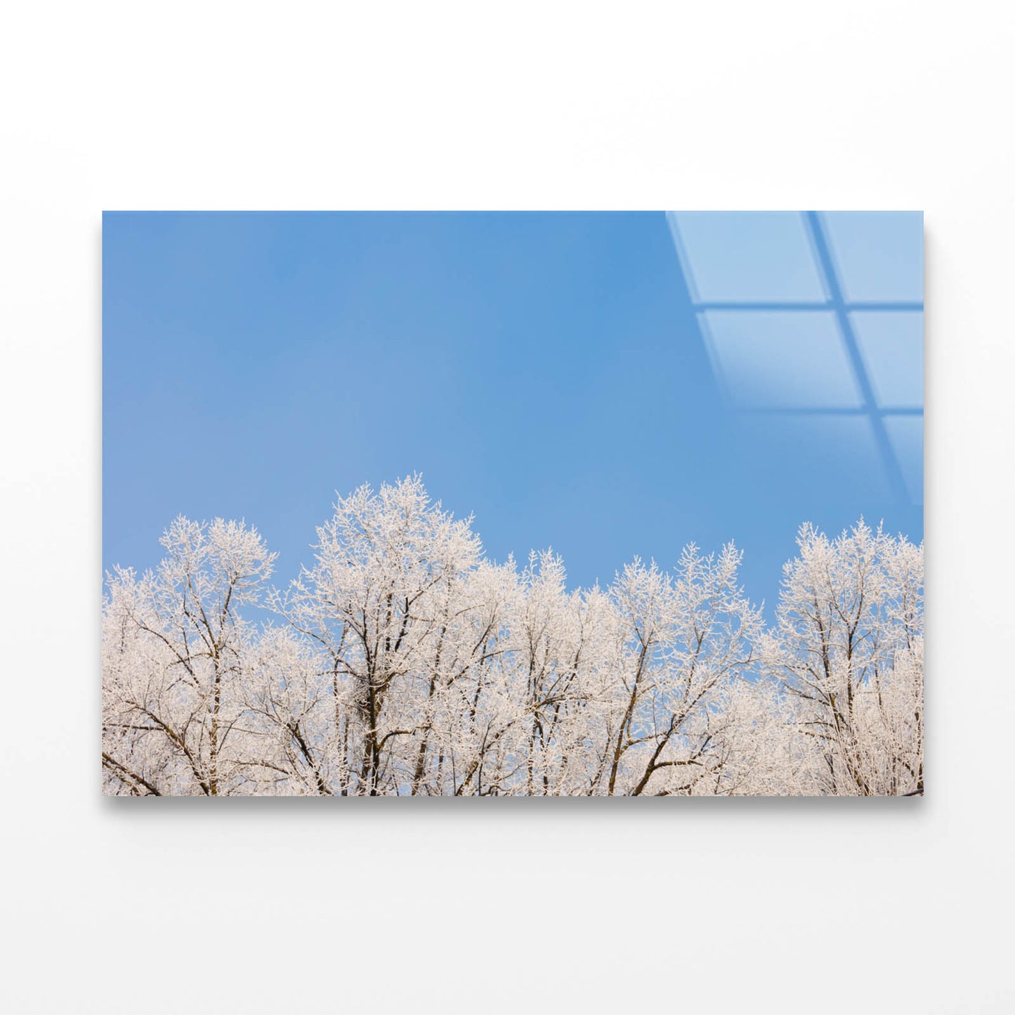 Covered Frost Acrylic Glass Print Tempered Glass Wall Art 100% Made in Australia Ready to Hang