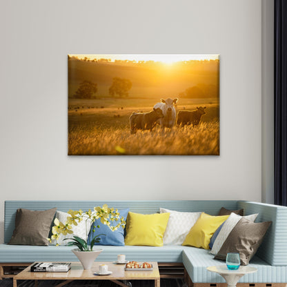 Cattle in Australia Cow in Field Wall Art Decor 100% Australian Made