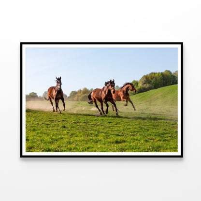 Three Horses at Full Gallop View Home Decor Premium Quality Poster Print Choose Your Sizes