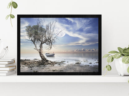 Dead Tree near Sea & Boat View Photograph Glass Framed Wall Art, Ready to Hang Quality Print Without White Border Black