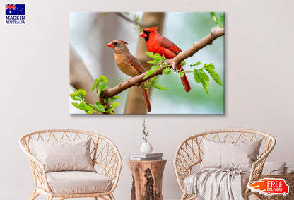 Northern Cardinal Pair in Spring  Wall Art Decor 100% Australian Made