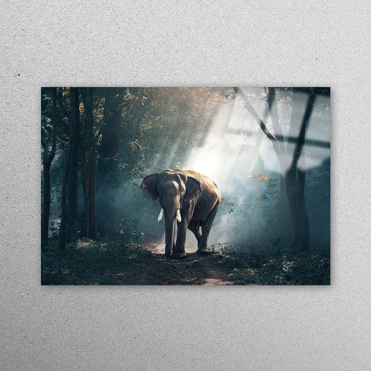 Jungle Elephant Acrylic Glass Print Tempered Glass Wall Art 100% Made in Australia Ready to Hang