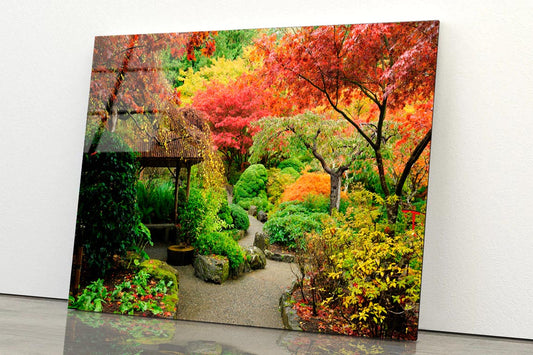 Autumnal Japanese Garden in Victoria Acrylic Glass Print Tempered Glass Wall Art 100% Made in Australia Ready to Hang