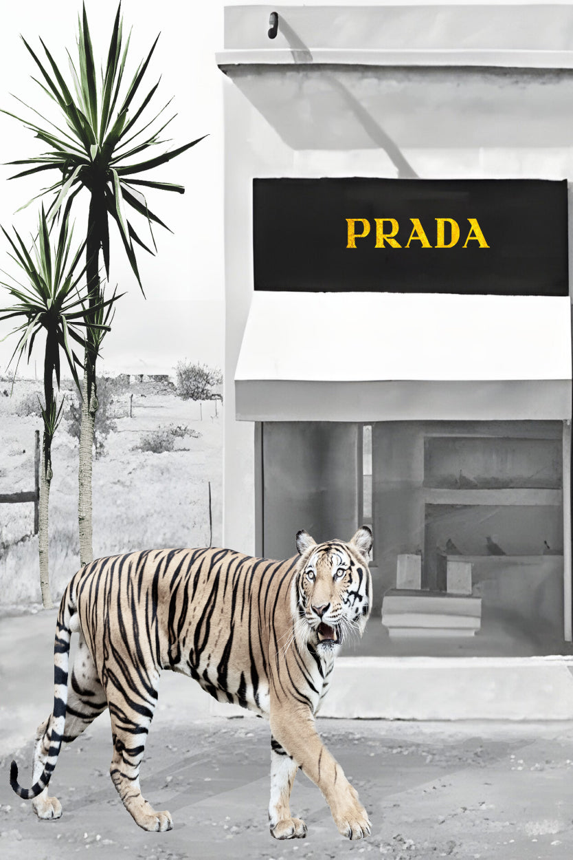 Tiger With Elegant Black and White Fashion Store Design Home Decor Premium Quality Poster Print Choose Your Sizes