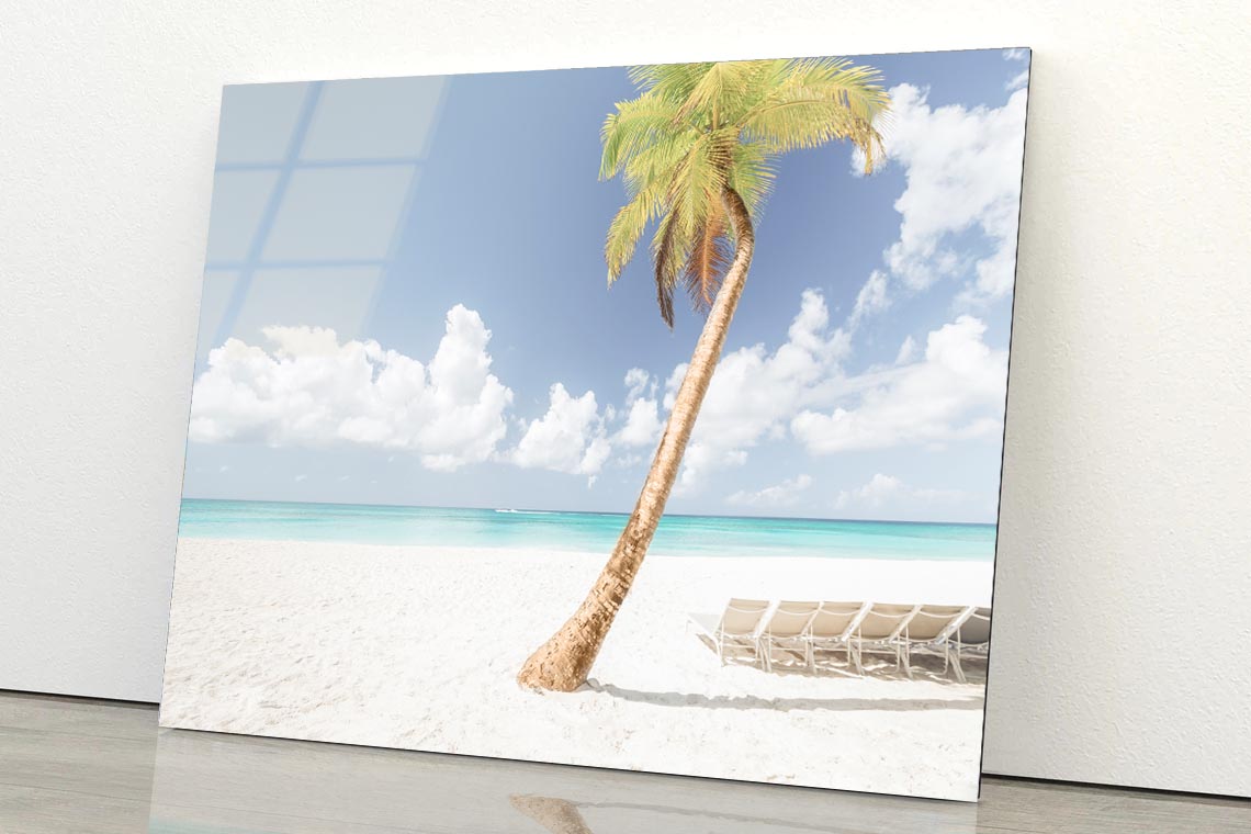 Coconut Tree in Beach Acrylic Glass Print Tempered Glass Wall Art 100% Made in Australia Ready to Hang