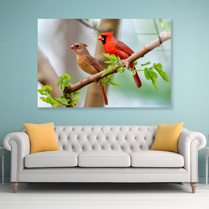 Northern Cardinal Pair in Spring  Acrylic Glass Print Tempered Glass Wall Art 100% Made in Australia Ready to Hang