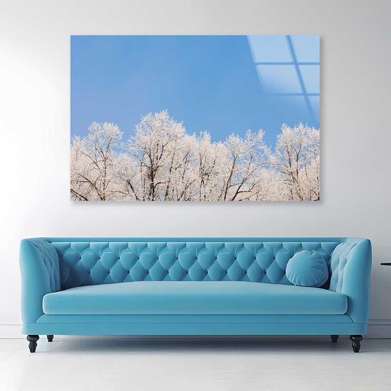 Covered Frost Acrylic Glass Print Tempered Glass Wall Art 100% Made in Australia Ready to Hang