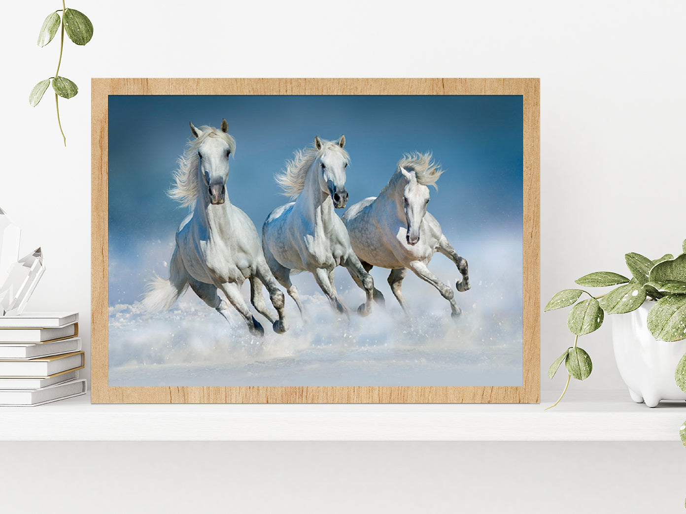 Horses Run Gallop In Snow Winter Glass Framed Wall Art, Ready to Hang Quality Print Without White Border Oak