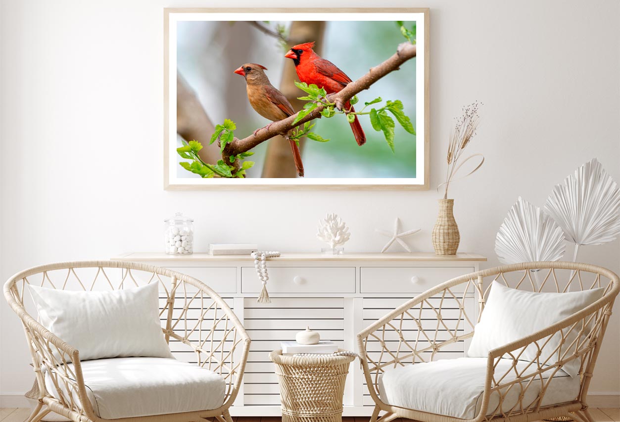 Northern Cardinal Pair in Spring Home Decor Premium Quality Poster Print Choose Your Sizes