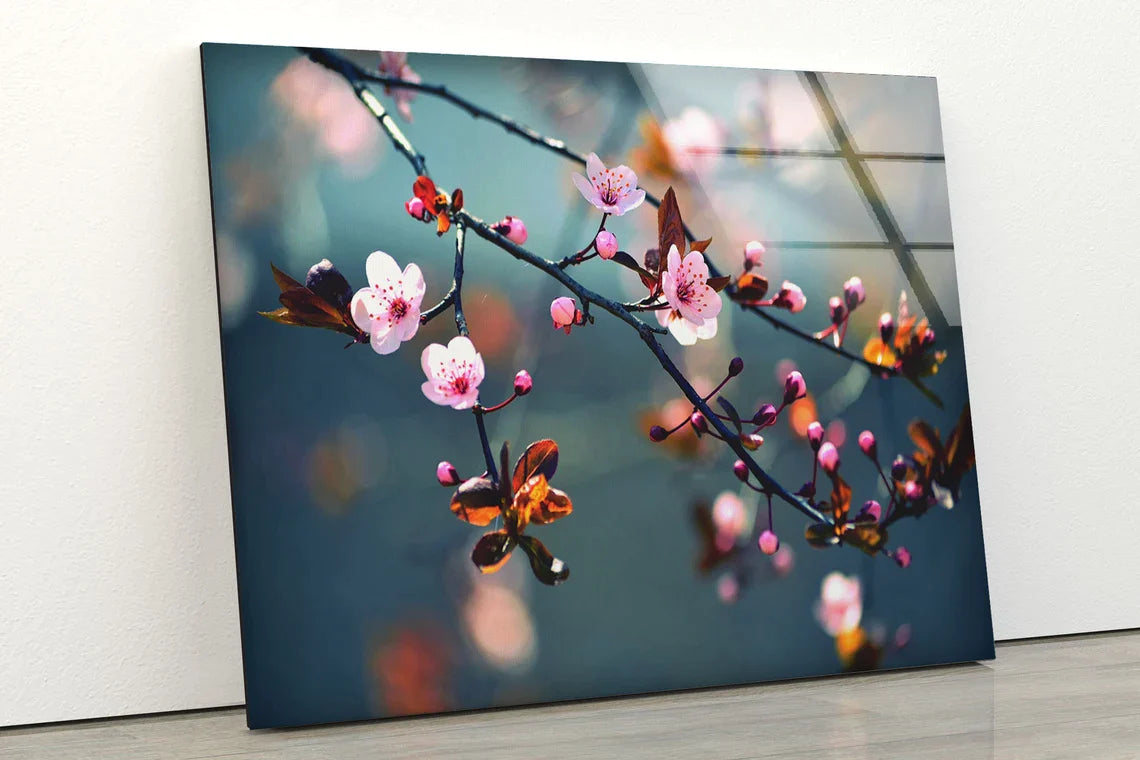 Blossom Flower Tree UV Direct Aluminum Print Australian Made Quality