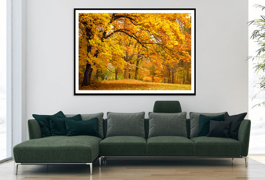 Gold Trees in a Park in autumn Home Decor Premium Quality Poster Print Choose Your Sizes