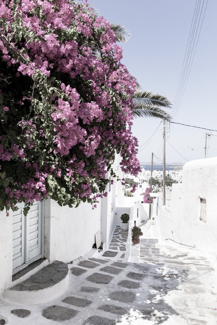 House near Flower Trees Street Photograph Glass Framed Wall Art, Ready to Hang Quality Print