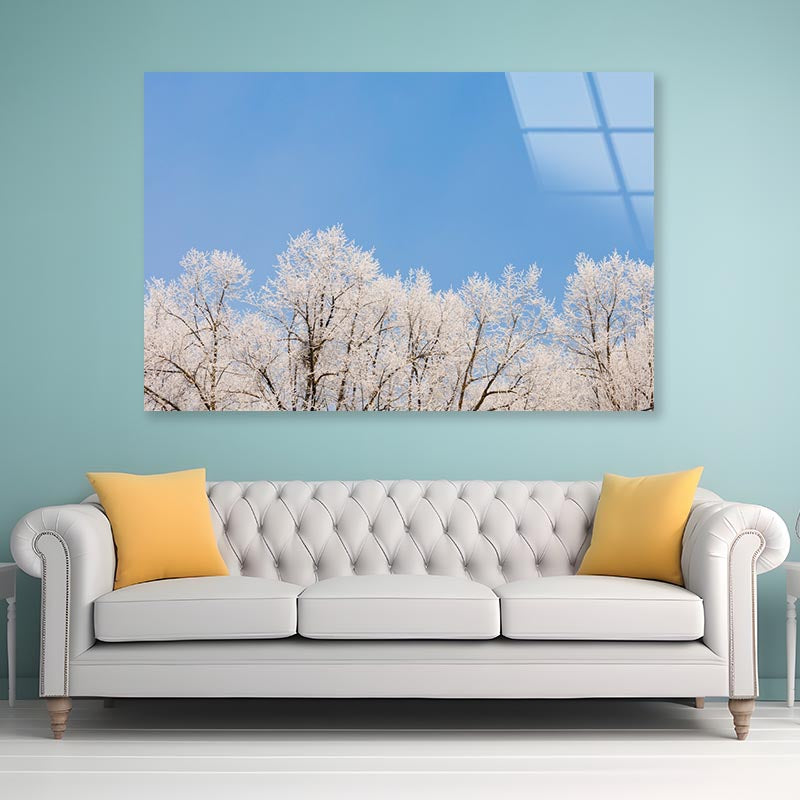 Covered Frost Acrylic Glass Print Tempered Glass Wall Art 100% Made in Australia Ready to Hang