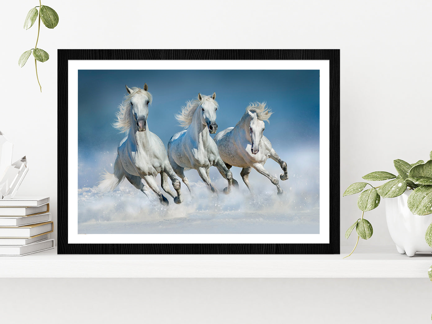 Horses Run Gallop In Snow Winter Glass Framed Wall Art, Ready to Hang Quality Print With White Border Black