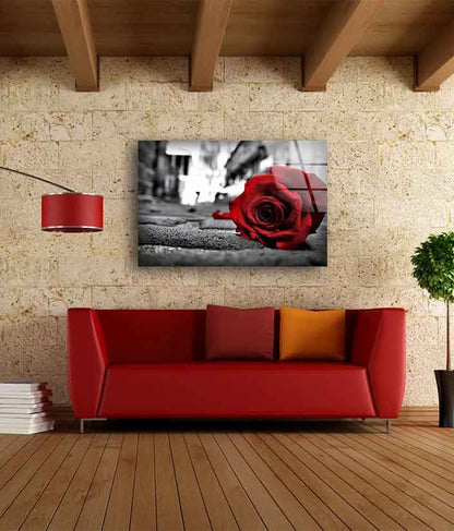 Rose Flower B&W View UV Direct Aluminum Print Australian Made Quality