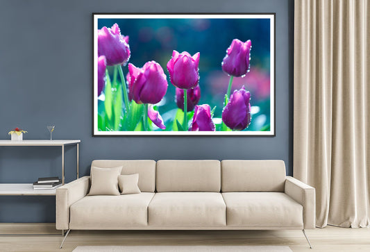 A Group of Lady Tulip Flowers Blooming Home Decor Premium Quality Poster Print Choose Your Sizes