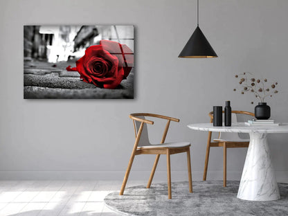 Rose Flower B&W View UV Direct Aluminum Print Australian Made Quality