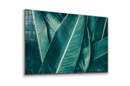 Tropical Green Leaves UV Direct Aluminum Print Australian Made Quality