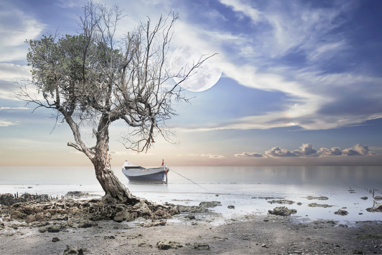 Dead Tree near Sea & Boat View Photograph Glass Framed Wall Art, Ready to Hang Quality Print