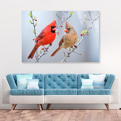 Red Bird or Northern Cardinal Mates Perched on Holly Branches  Acrylic Glass Print Tempered Glass Wall Art 100% Made in Australia Ready to Hang