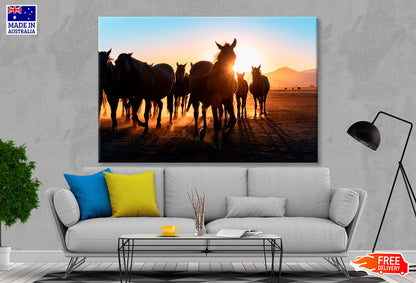 Horses Walking Across a Field Wall Art Decor 100% Australian Made