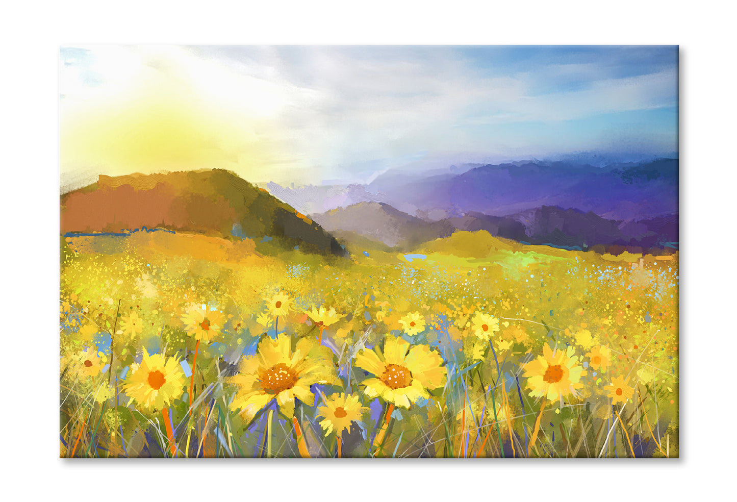 Daisy Flower Blossom, Warm Light Of The Sunset & Hill Oil Painting Limited Edition High Quality Print Stretched Canvas None