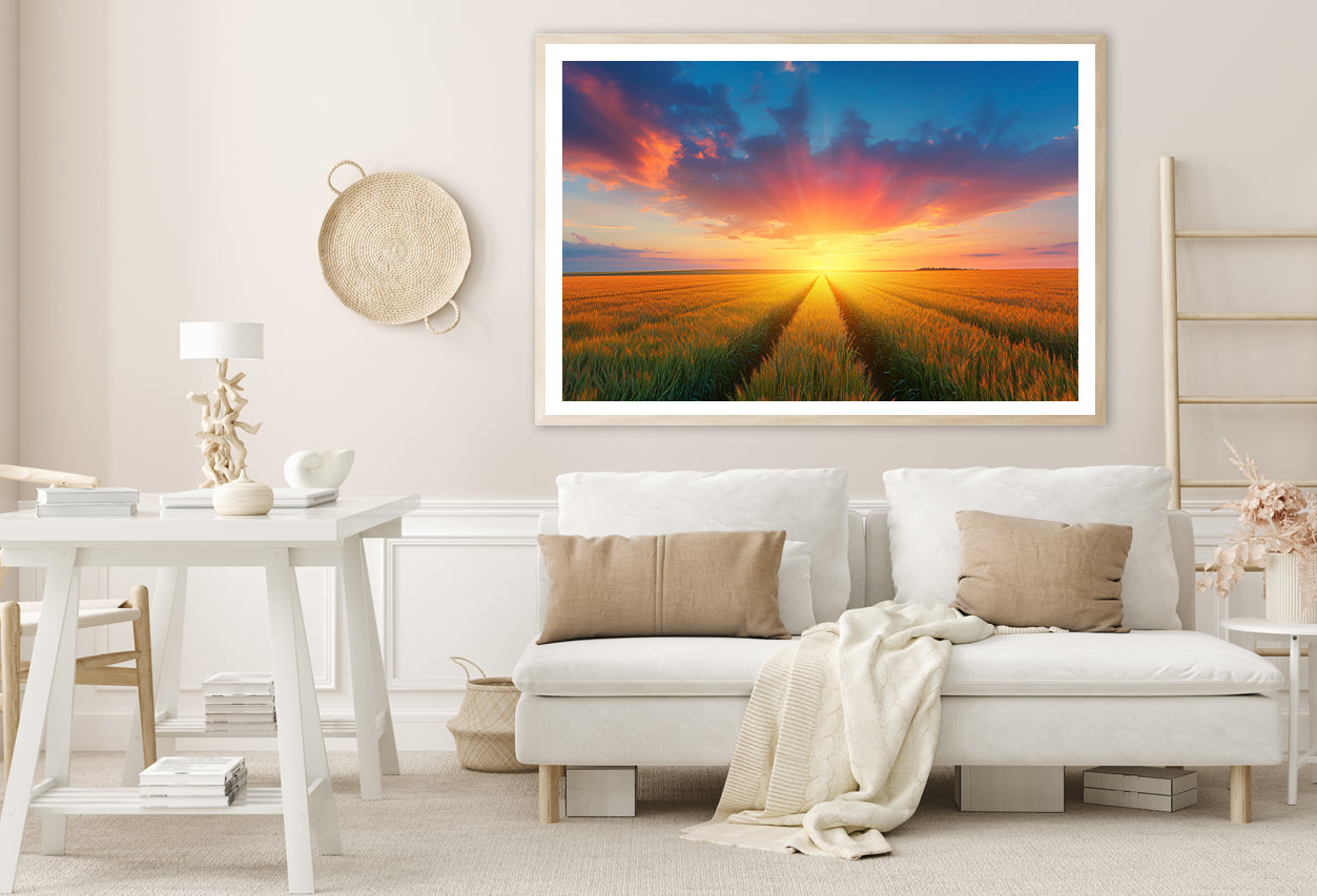 Rainbow with Wheat Fields at Sunset Home Decor Premium Quality Poster Print Choose Your Sizes