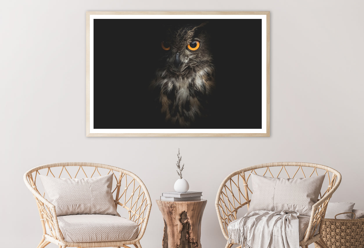 Eurasian Eagle - Owl with Black Home Decor Premium Quality Poster Print Choose Your Sizes